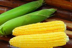 Jagung Manis
